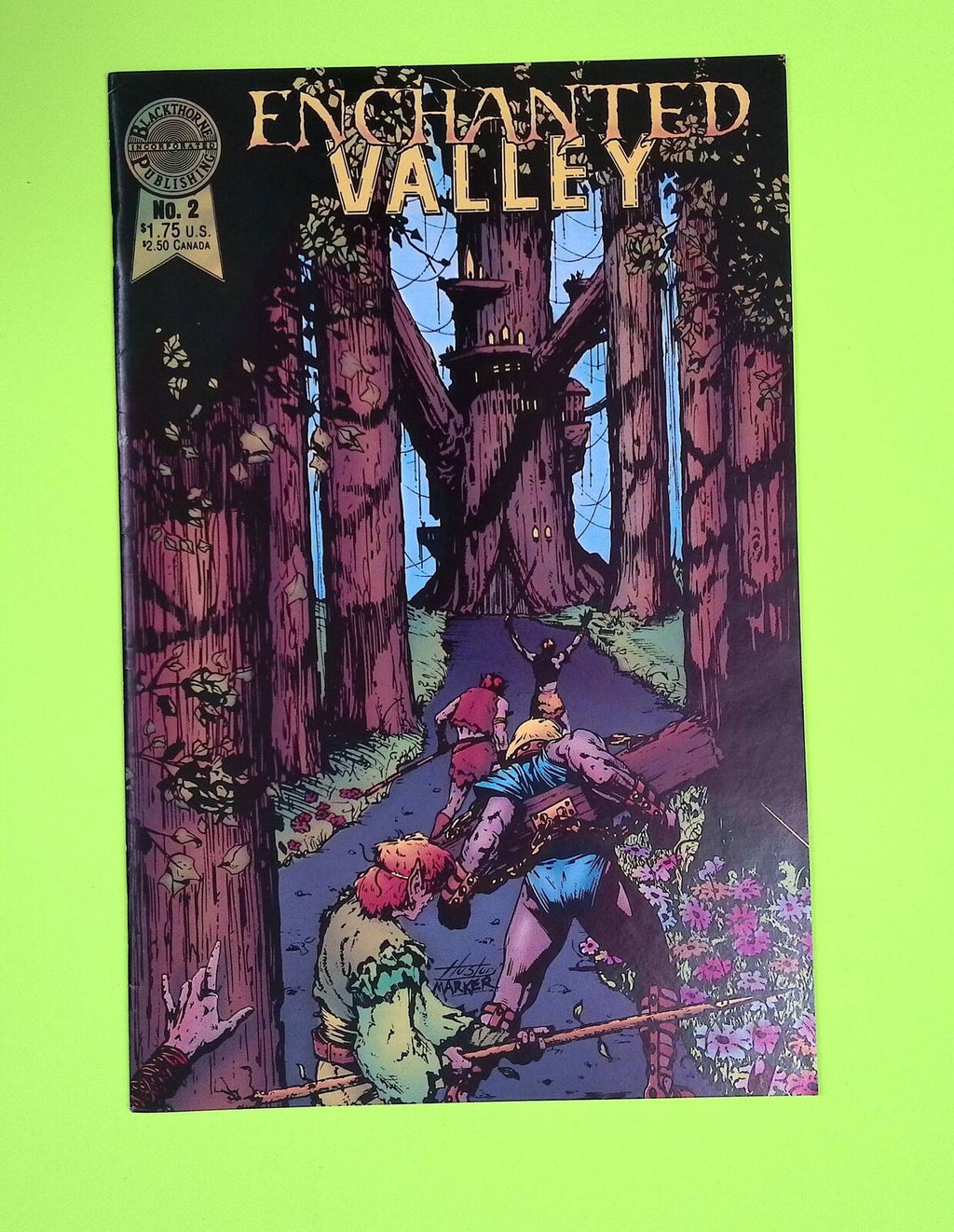 Enchanted Valley #2 1987 Blackthorne Publishing 7.0 Comic Book M18-65