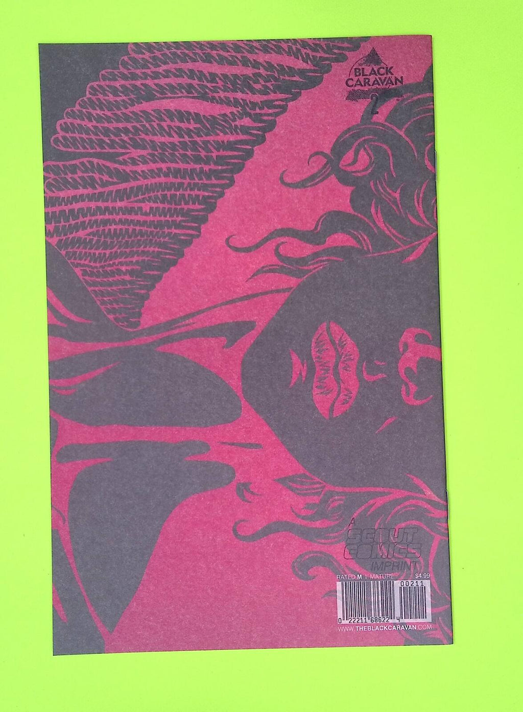 Vanity #2 Black Caravan 8.0 Comic Book G14-76