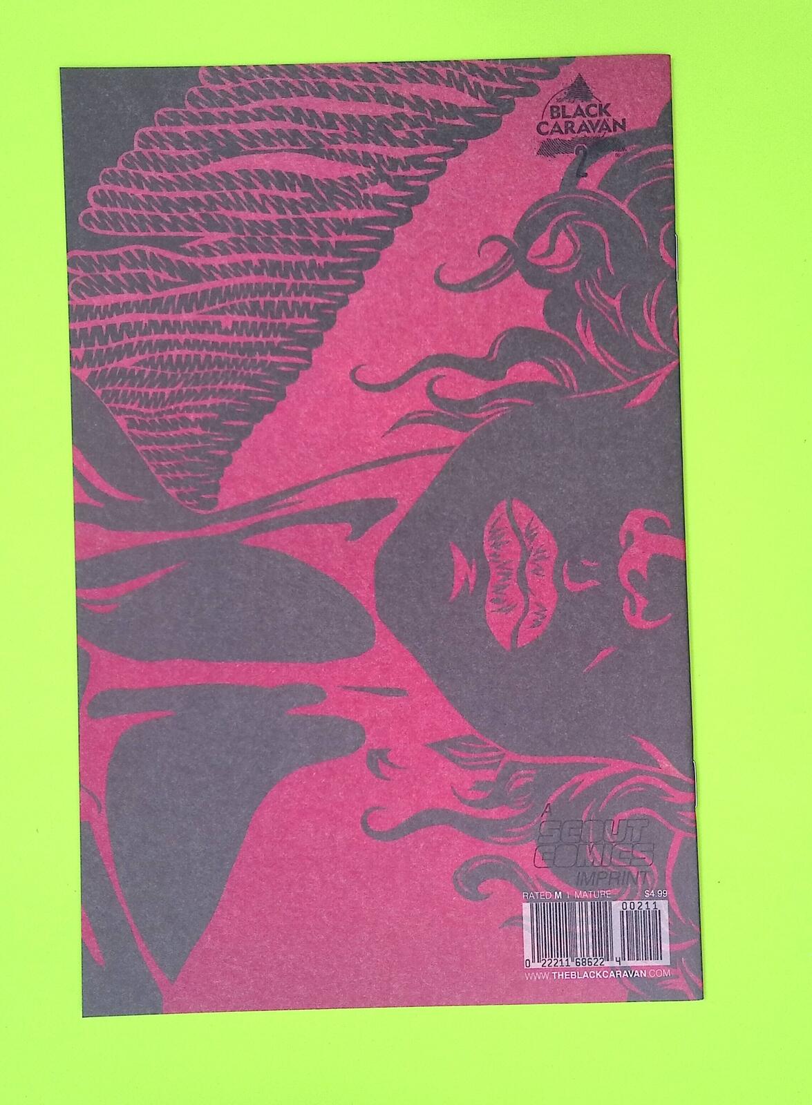 Vanity #2 Black Caravan 8.0 Comic Book G14-76