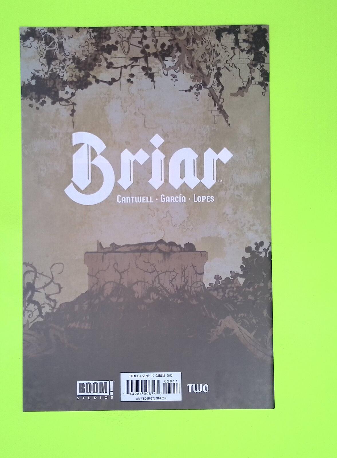 Briar #2 2022 BOOM! Studios High Grade Comic Book K25-229