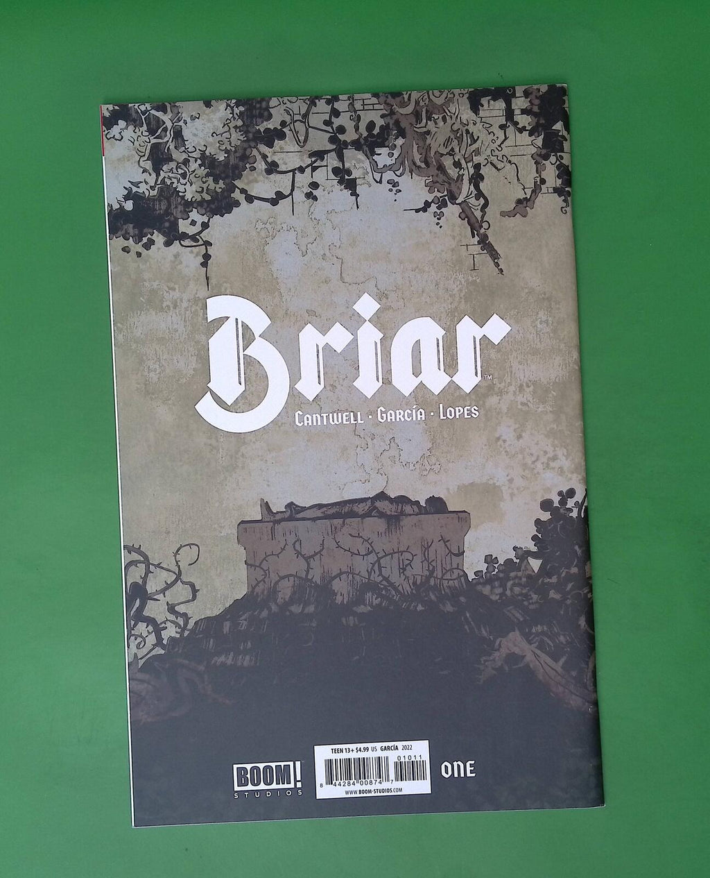 Briar #1 2022 BOOM! Studios High Grade Comic Book H78-207